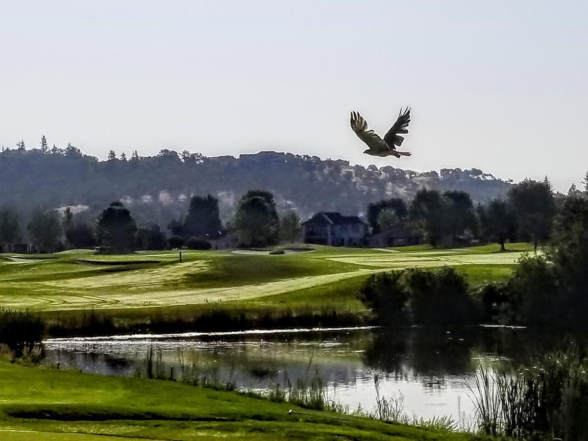 Resort At Eagle Point Golf Club Lodging Medford Eksteriør billede