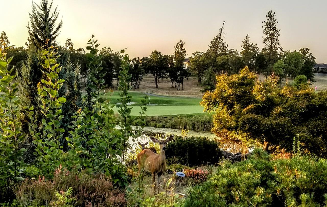 Resort At Eagle Point Golf Club Lodging Eksteriør billede