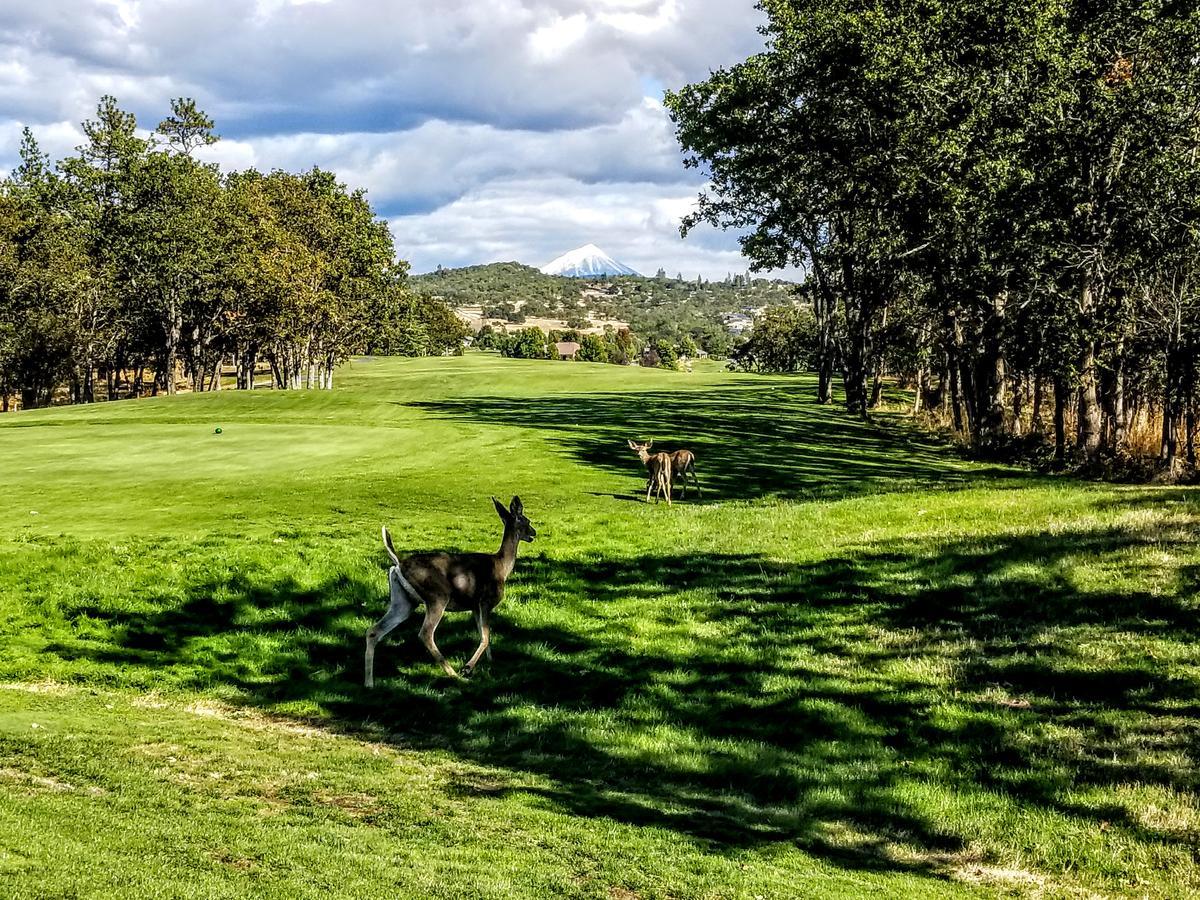 Resort At Eagle Point Golf Club Lodging Eksteriør billede